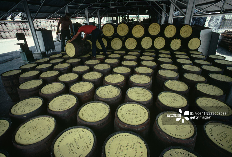 男人们堆叠朗姆酒桶图片素材