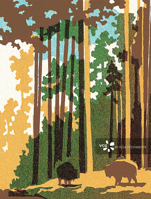 森林里的水牛图片素材