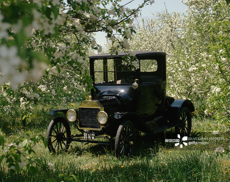 盛开的樱桃园中的福特T型车图片素材
