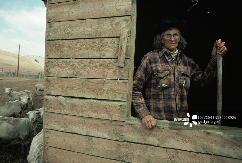 年长的牧羊人图片素材