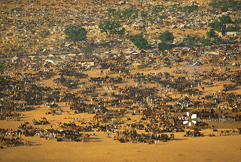 普什卡尔骆驼集市景色图片素材