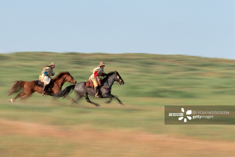 小马快递奔跑在平原上图片素材