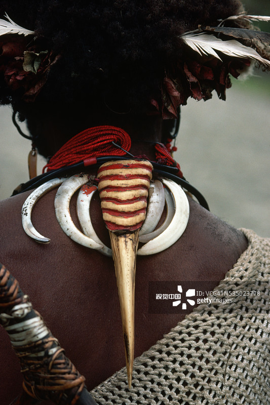 犀鸟喙项链图片素材