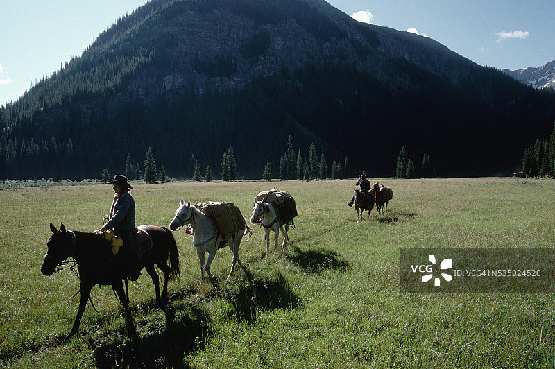 牛仔带领马群穿过牧场图片素材