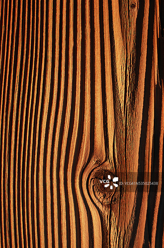 木材中的节孔图片素材