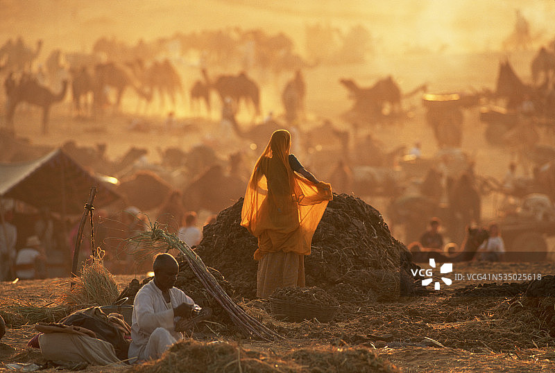 收集粪便的女人图片素材