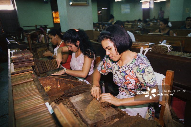雪茄工厂里的工人图片素材