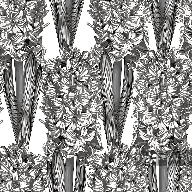 精美黑白单色风信子无缝背景图片素材
