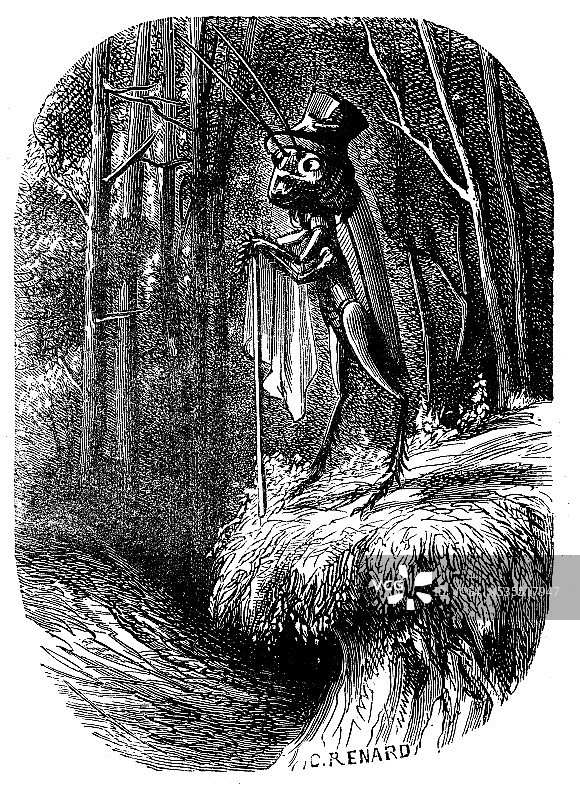 拟人化的蟋蟀和昆虫古董插画图片素材