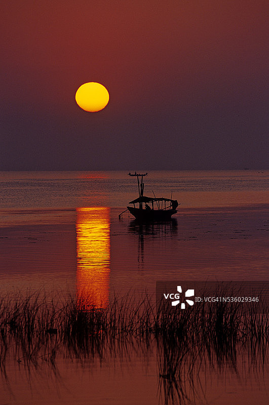 奥里萨邦奇尔卡湖的日落图片素材