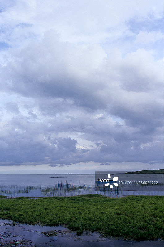 奥里萨邦的奇尔卡湖图片素材