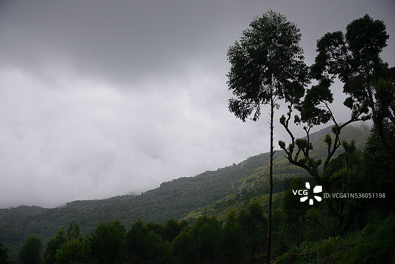 喀拉拉邦的季风季节图片素材