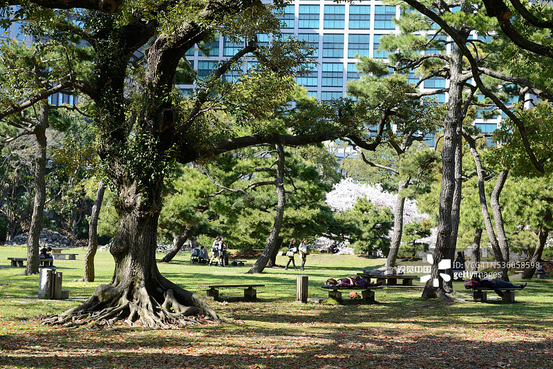 东京滨离宫庭园图片素材