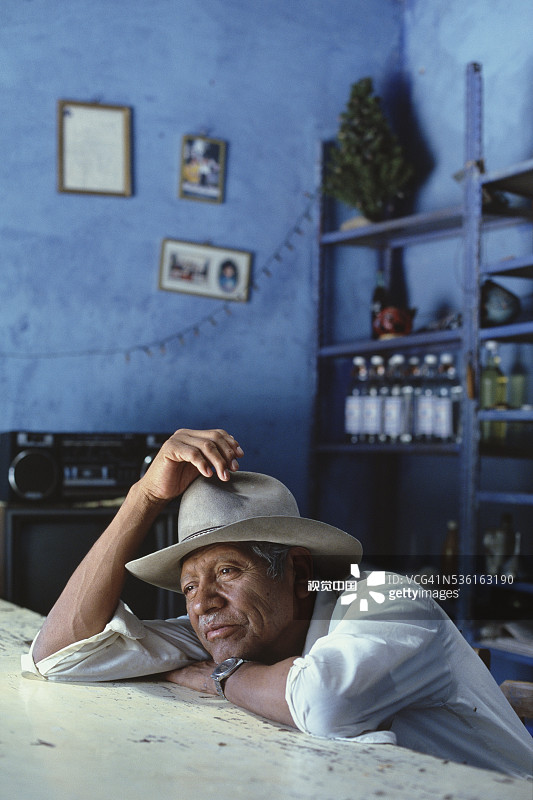 瓦哈卡州的坎蒂纳老板图片素材