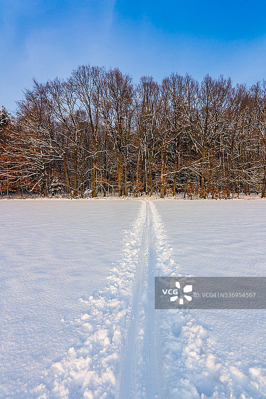 冬天的风景图片素材