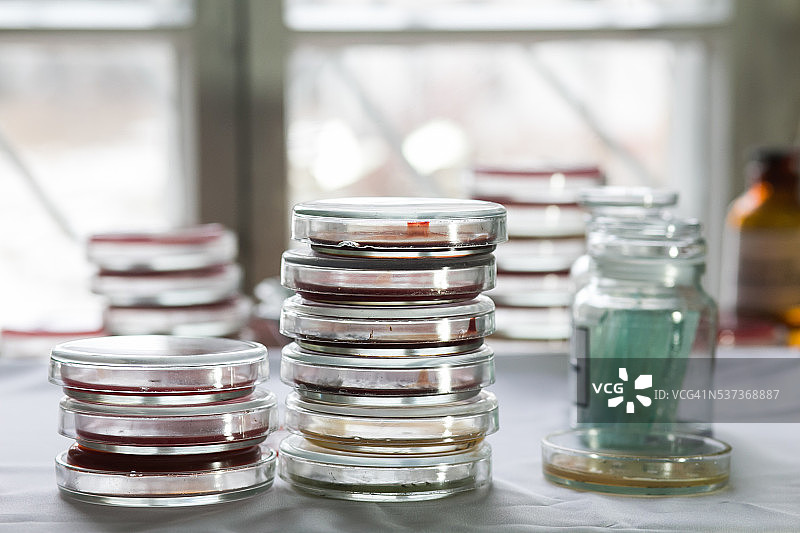 实验室中的培养皿图片素材