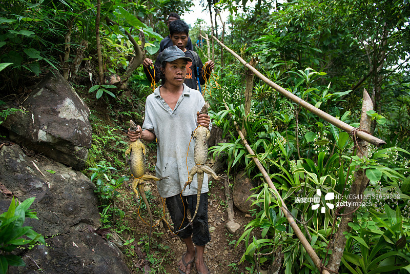 阿蒂男人猎捕并携带科莫多巨蜥图片素材