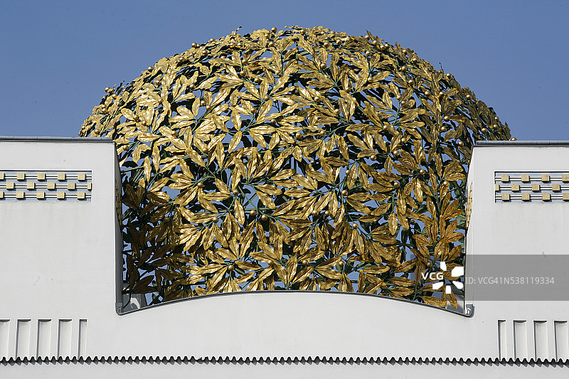 分离派建筑顶部的树叶穹顶图片素材