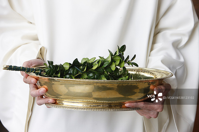 用于祝福的黄杨树枝图片素材