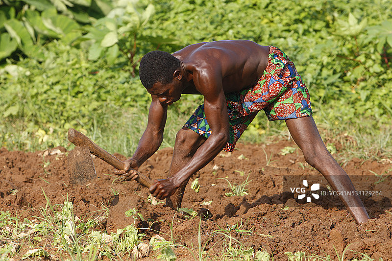 非洲农民图片素材