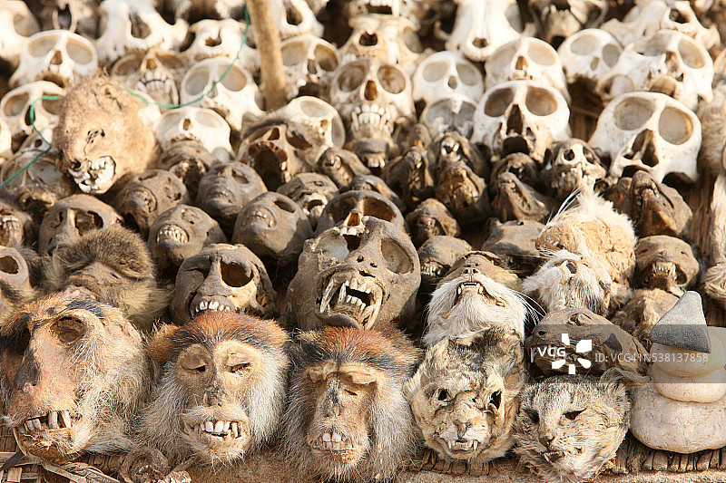 阿科德塞瓦物神市场图片素材