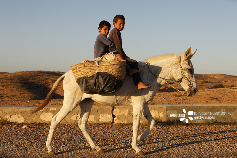 孩子们在突尼斯南部道路上骑驴图片素材