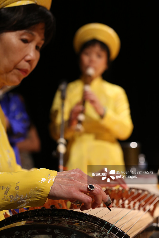 越南传统音乐：十六弦琴图片素材