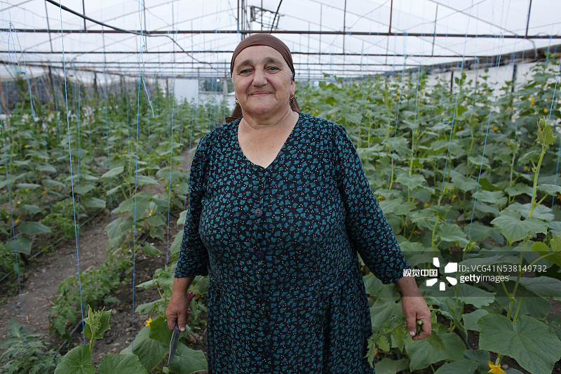 卢特维亚·萨法罗娃是农作物种植户，她的丈夫法齐尔·穆萨伊尔从FINDEV获得了4000 AZ贷款（第二笔贷款，18个月还款）图片素材