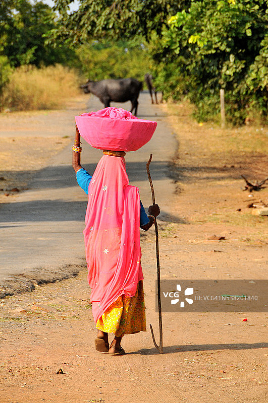 拉贾斯坦妇女图片素材