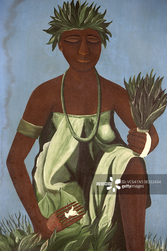 Billy Oliveira的绘画：Candomblé信徒采摘特殊的植物或草药图片素材