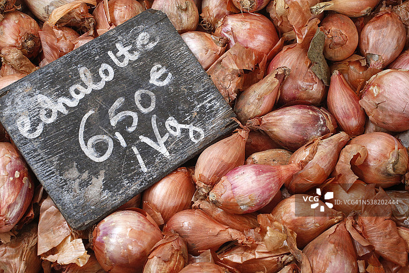 小洋葱图片素材