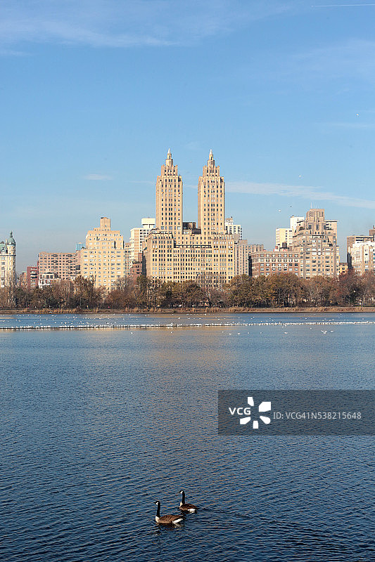 中央公园水库以上西区天际线为背景。湖上的鸭子图片素材