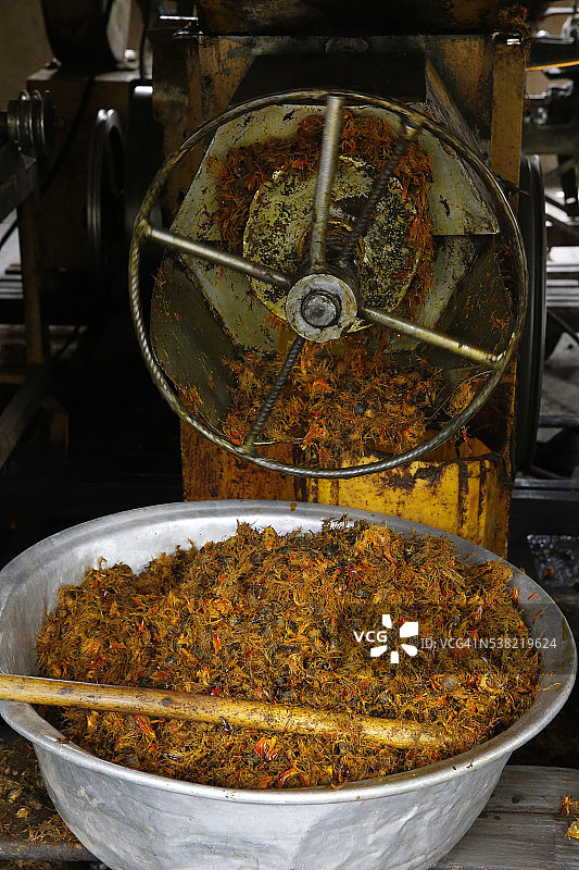 棕榈油工厂图片素材