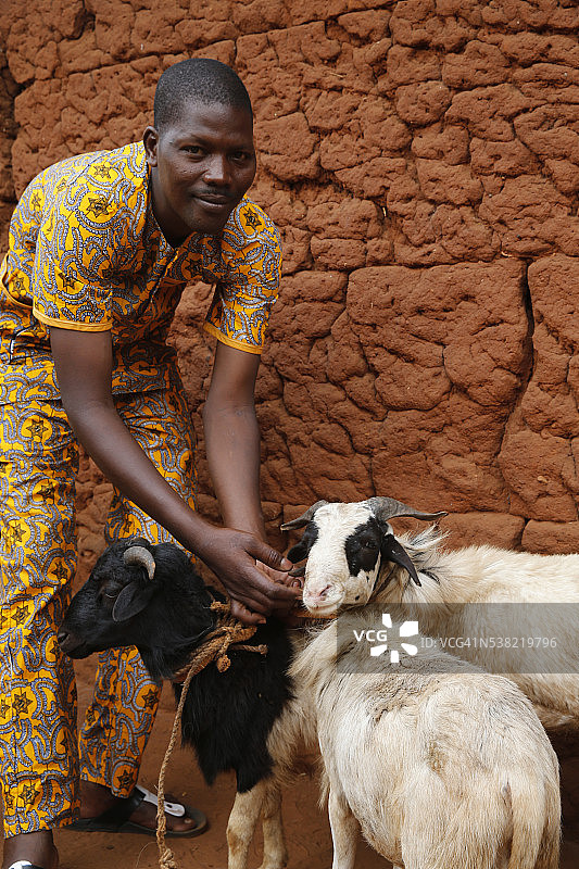 格雷戈里·塔胡富恩的家畜和家禽养殖图片素材