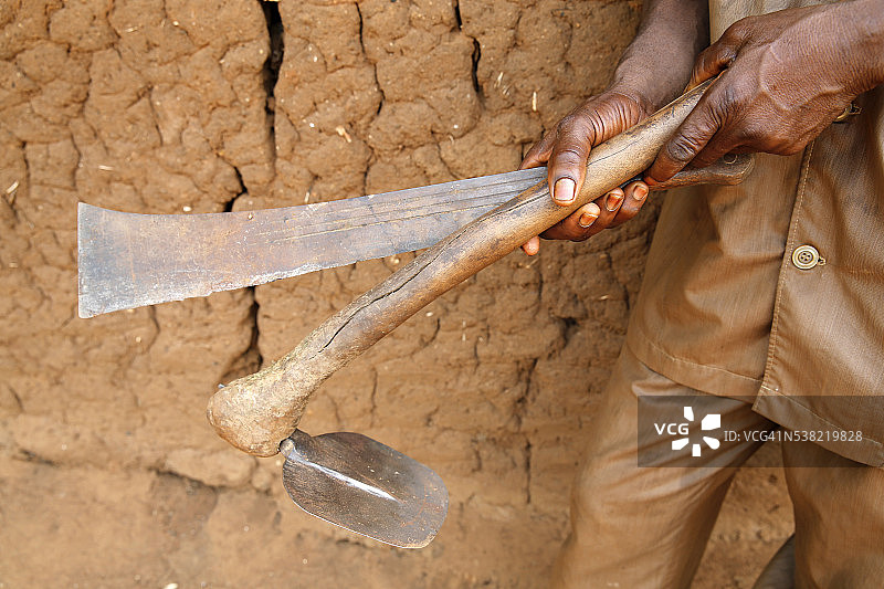 罗杰·阿瓦杰自2010年以来一直是Alide小额信贷机构的客户。他的4人农民小组目前正在偿还300万非洲金融共同体法郎的贷款，用于种植木瓜和菠萝图片素材