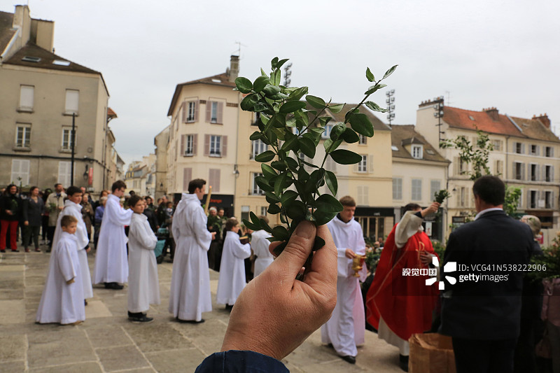 祝福：棕榈周圣周图片素材