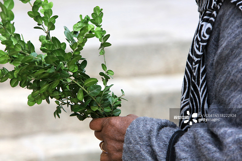 盒子：棕枝主日节图片素材