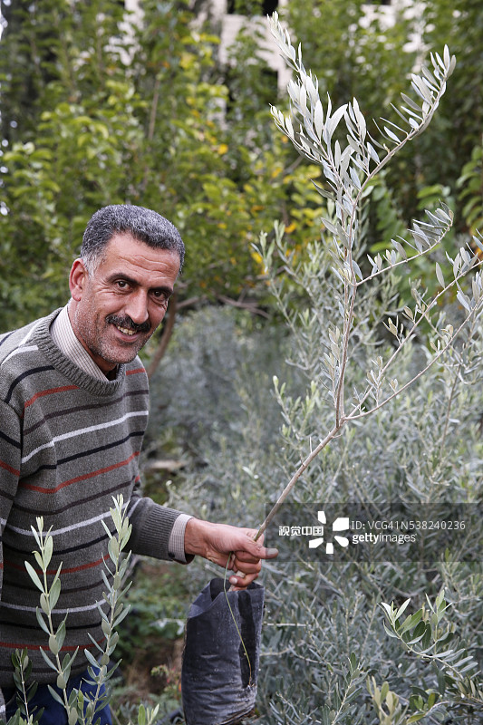 优素福·哈比德种植橄榄树和蔬菜图片素材