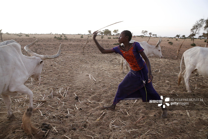 塞内加尔北部富拉尼族村庄图片素材