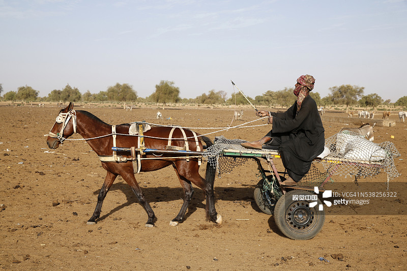 乘坐马车的普尔族农民图片素材