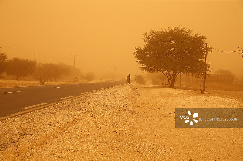 塞内加尔的哈马丹风图片素材