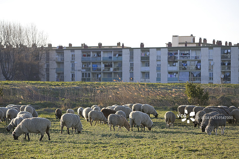 阿尔勒市风光图片素材