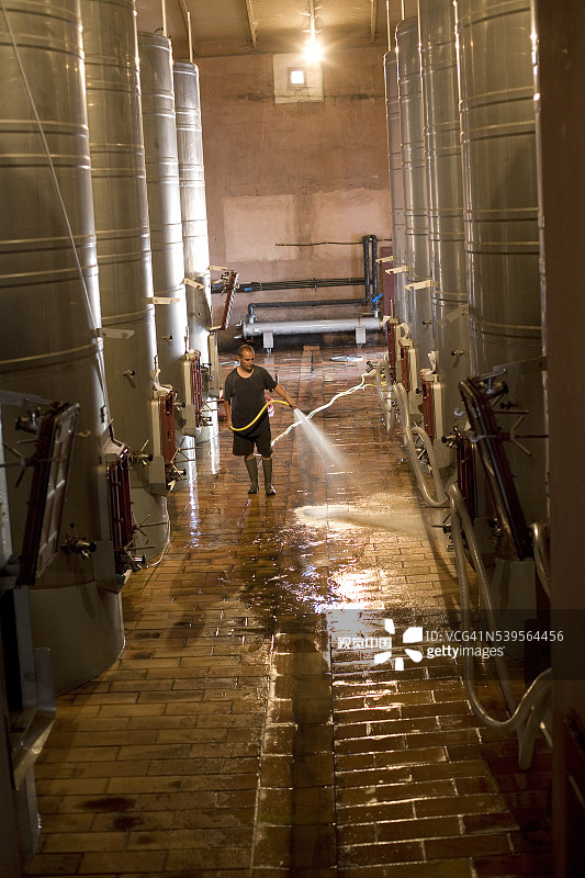 法国南部的葡萄采摘图片素材