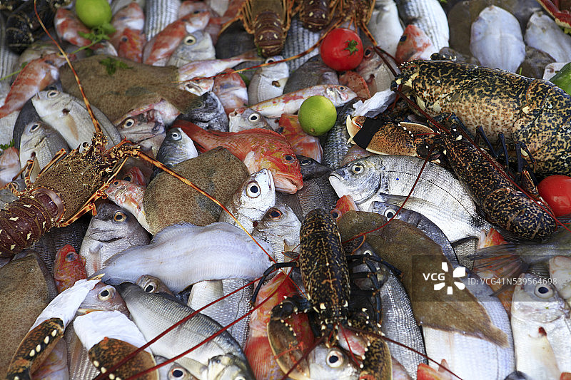 索维拉市风光图片素材