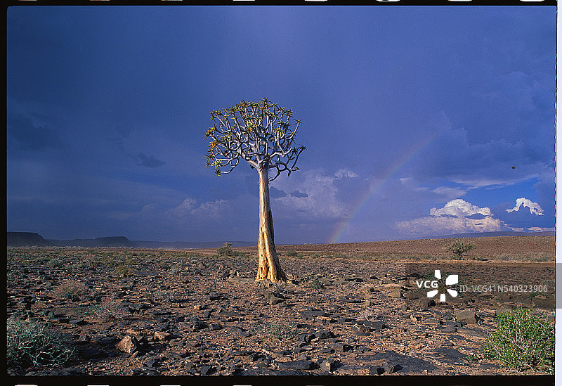 鱼河峡谷上空的雷暴图片素材