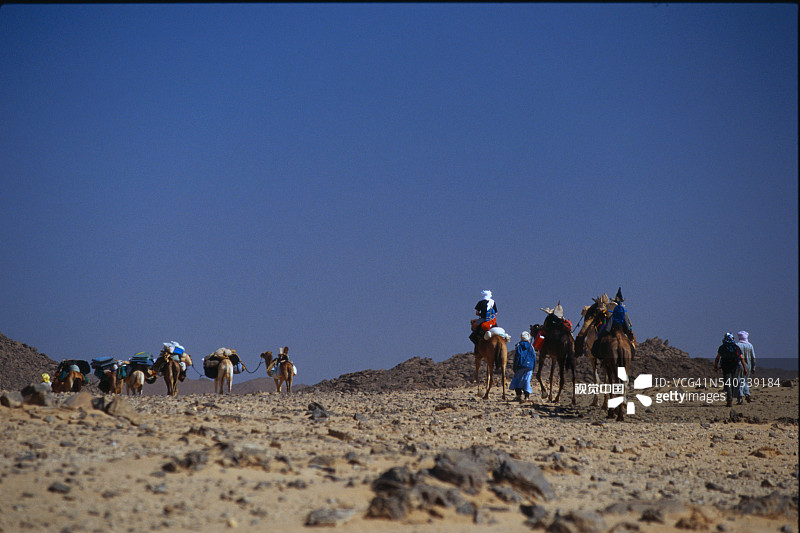 穿越撒哈拉沙漠的骆驼商队图片素材