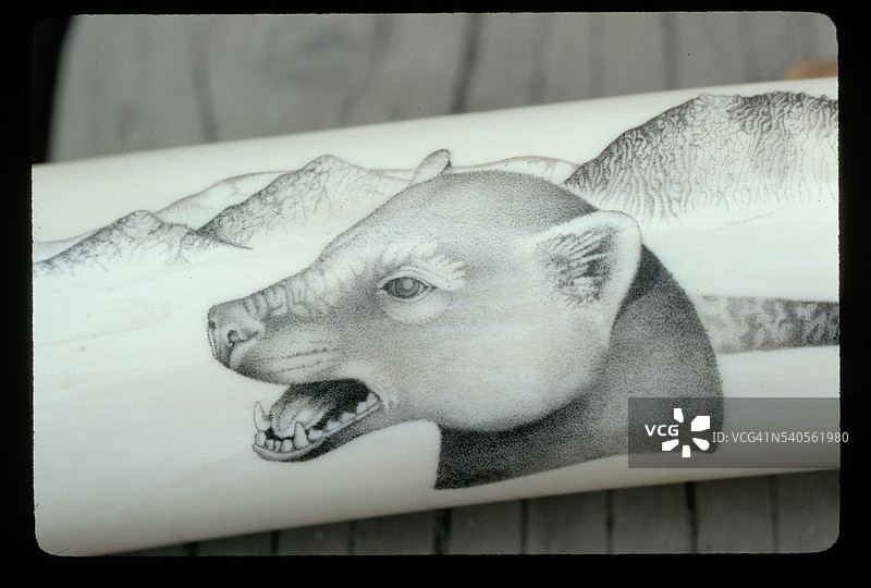 象牙雕刻艺术设计图片素材