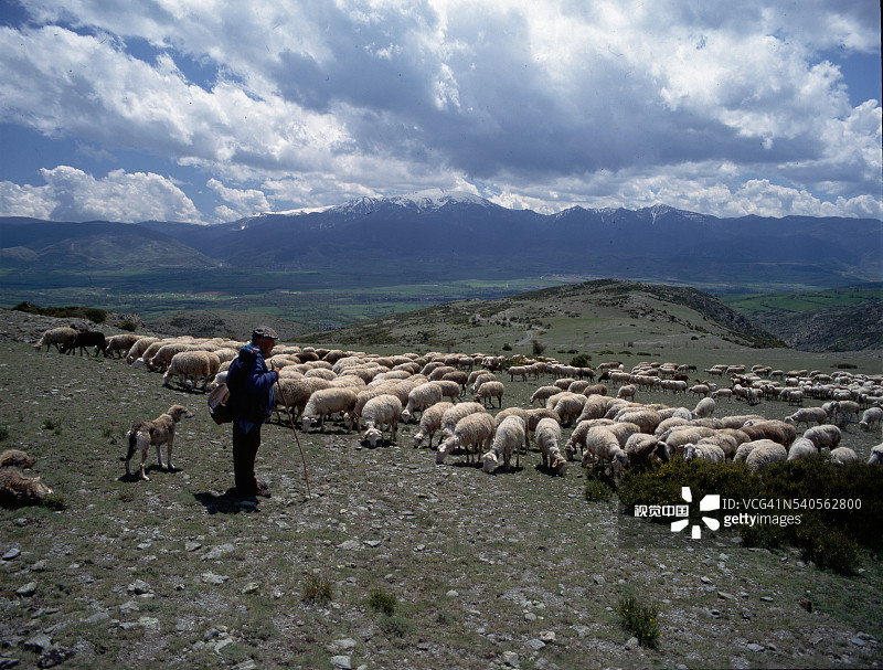 牧羊人与羊群图片素材