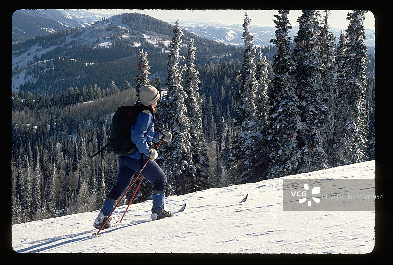 在熊河山脉滑雪的越野滑雪者图片素材