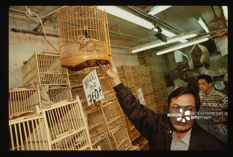 询问鸟类的男人图片素材
